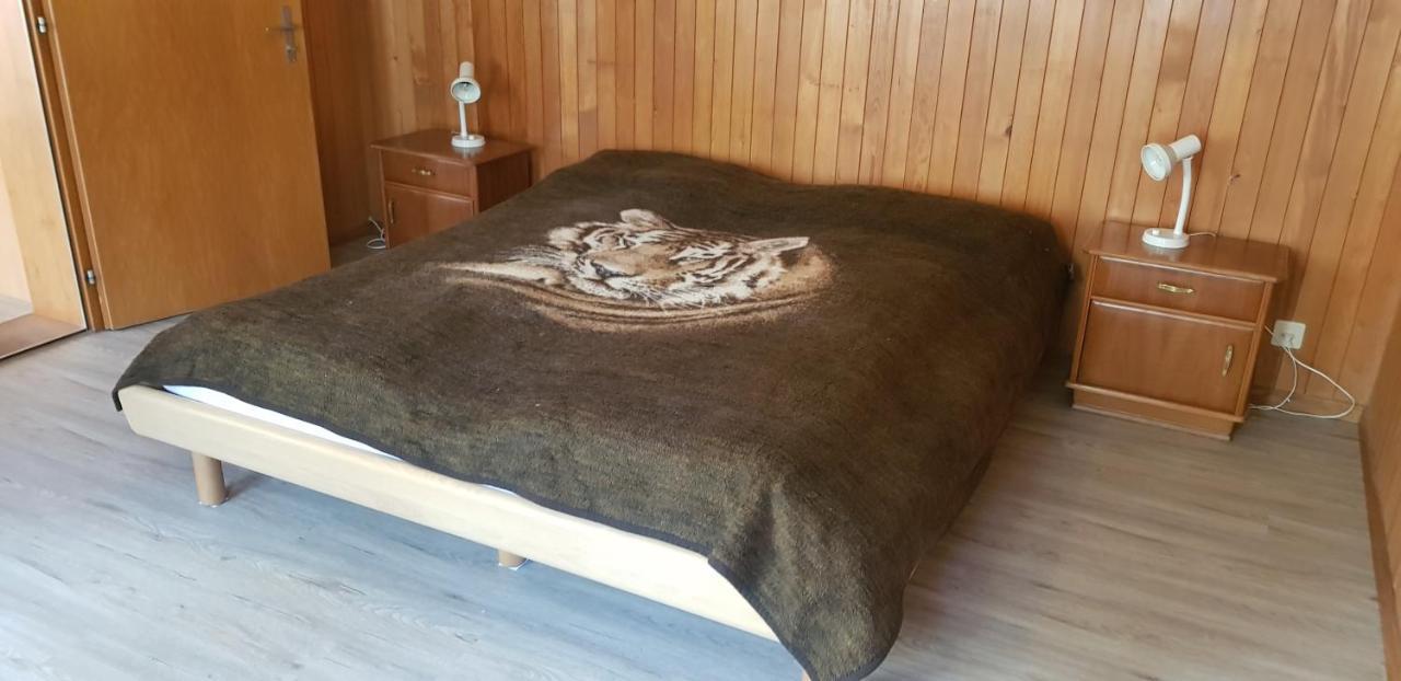 Chalet Spillstatt Grindelwald Zewnętrze zdjęcie